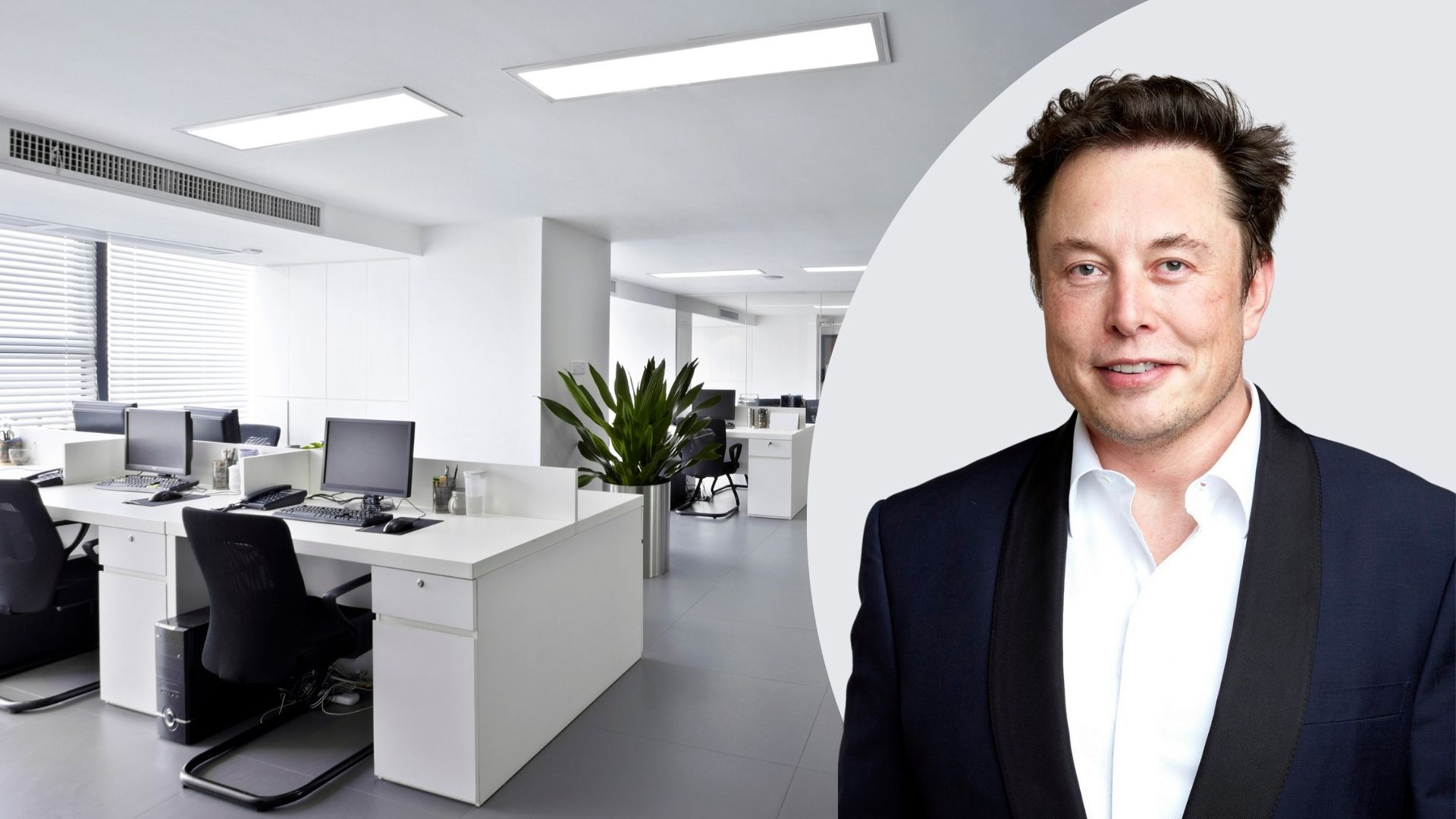 SoCode News