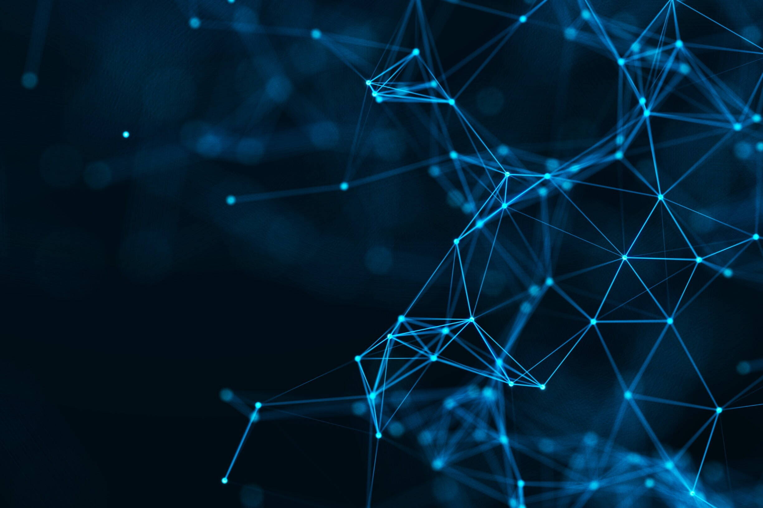 Team of Software Developers